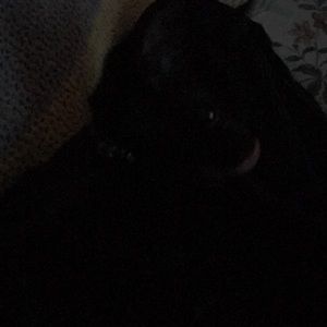 Meet your Posher, Steve